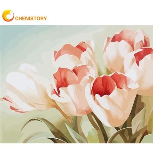 CHENISTORY Tulips Flower Painting By Numbers For Adults Children Handmade 40x50cm Frame Acrylic Pigment Drawing Wall Decor Arts