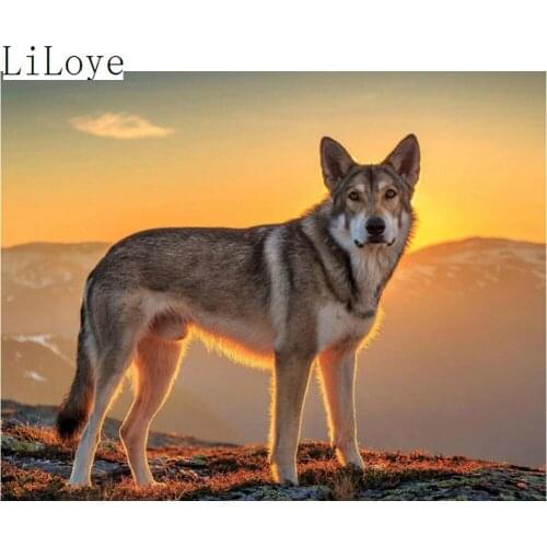 LI LOYE Cross Stitch Full Diamond Rhinestones Painting Home Decor DIY 5D diamond painting Pattern Diamond Embroidery Dog FZ467