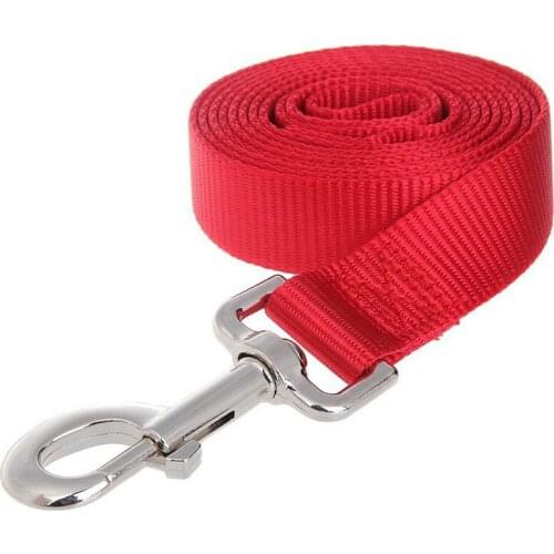 Free shipping Nylon Leather Pet Dog Cat Leash 2*120cm Pink Blue Black Black cute lead