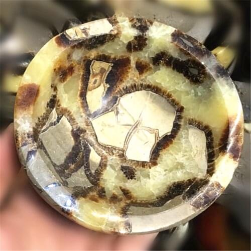 Natural Gem Stones And Minerals Fossil Specimens Septarium Ashtray Ornament Polychrome Stone For Home Hecoration Or Gifts