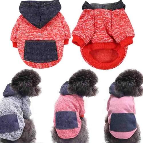Dog Clothes Autumn Winter Sweater Pocket Two Feet Clothes Sports Wind Pet Clothes Dog Cat Clothes Pet Clothes For Dog