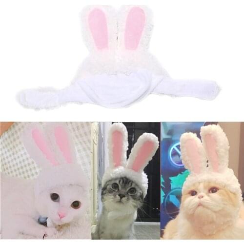 TPXCKz Clothes For Cats