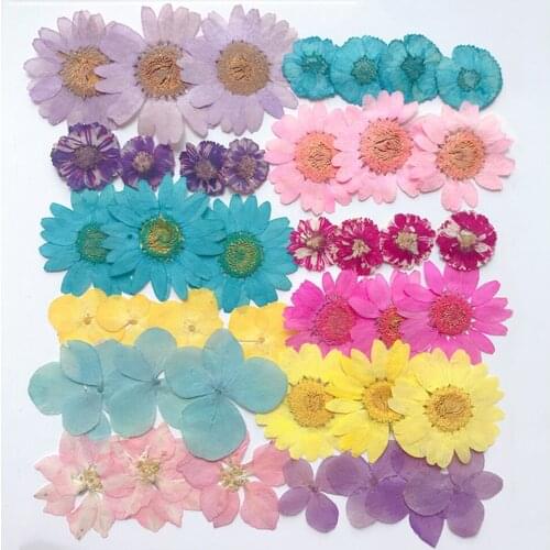 Multiple Real Pressed Dried Flowers Embellishments Crafts DIY Soap Decors