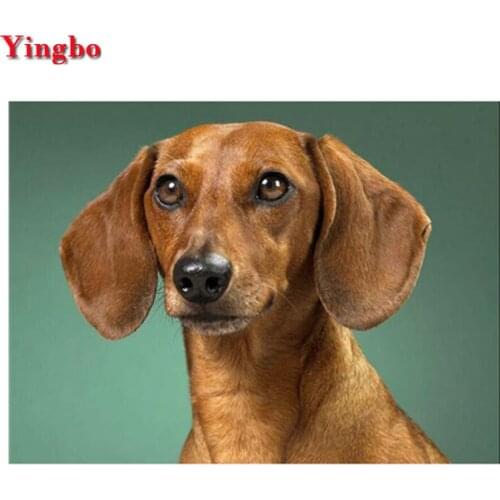 Full square round diy diamond painting Professor Dachshund 5d diamond mosaic rhinestones embroidery animal cross-stitch kits