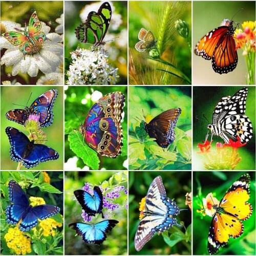 EverShine Diamond Mosaic Animal Full Square Diamond Painting Butterfly Rhinestones Embroidery Spring Cross Stitch Handmade Hobby