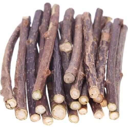 15&20pcs Natural Catnip Pet Cat Molar Toothpaste Stick Matatabi Actinidia Fruit Silvervine Cat Snacks Sticks Pet Cleaning Teeth