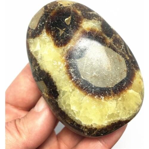 Natural Septarium Palm Stone Crystal Stone Irregular Smooth Polished Pebble Reiki Healing Chakra Stone