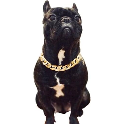 Teddy Bago law fighting dog bully gold chain small and medium dog collar pet necklace jewelry accessories