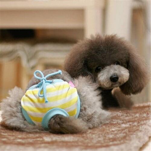 S-XL Pants Pads Sanitary Nappy Diaper Reuseable Female Pet Dog Bitch Menstrual