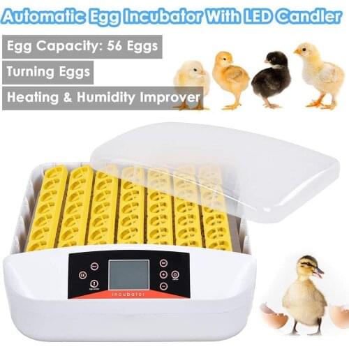 56 Eggs Incubator Chicken Duck And Other Poultry Automatic Incubator Poultry Eggs Poultry Incubation Equipment