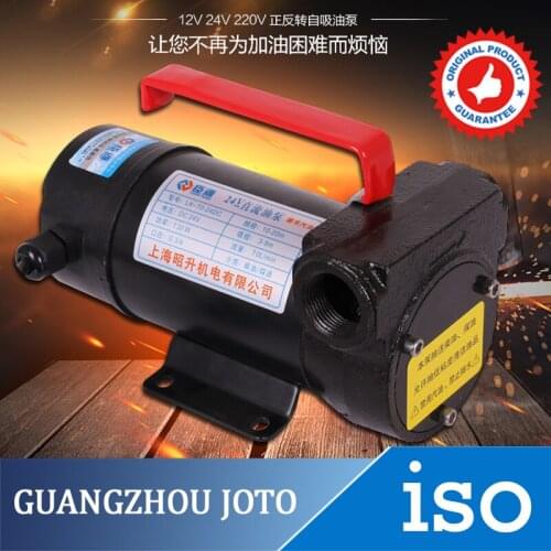 9.19 24V DC Fuel Oil Transfer Pump For Diesel Kerosene Biodiesel