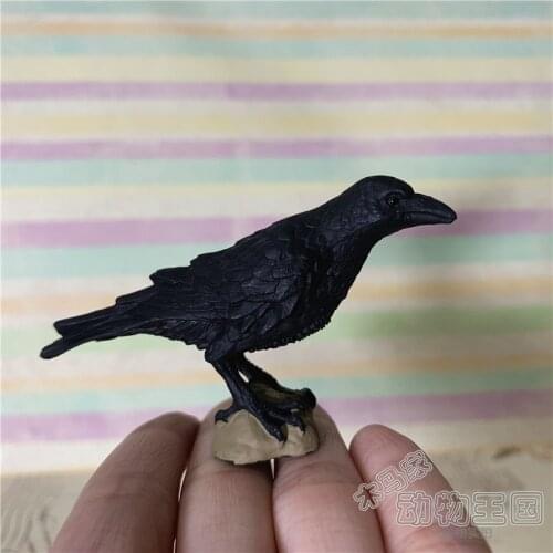 Small pvc figure model toy Crow and raven wild simulation black bird animal model toy ornaments