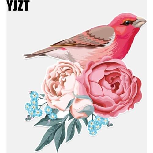 YJZT 13*14.8CM Beautiful Parrots Decor PVC Car Sticker Bumper Car Window Personalized 11A0296