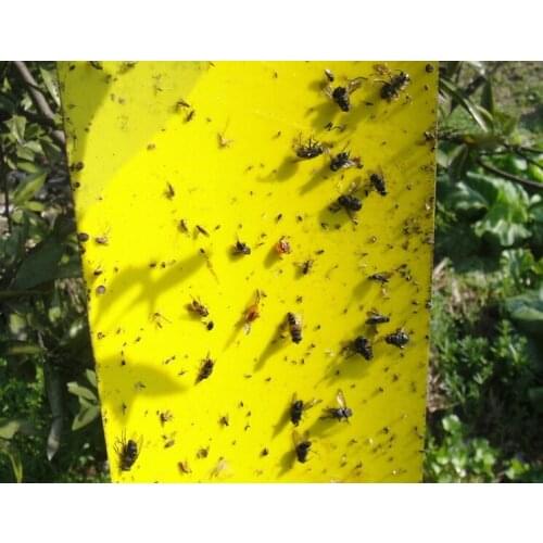 5 Outdoor Flies Fly Control Glue Trap Board Mosquito Flying Aphids whitefly leafhopper Thrips Fly Reject Double Sided 20*25CM