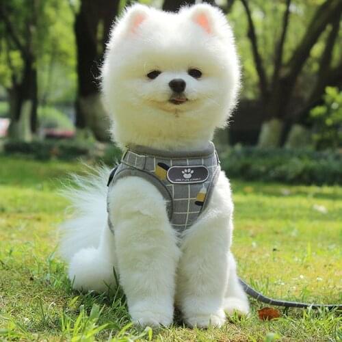 Reflective Breathable Dogs Chest Harness Pet Clothes Supplies Cats Dog Printed Breastplate Vest Small-Medium Pet Leash Harness