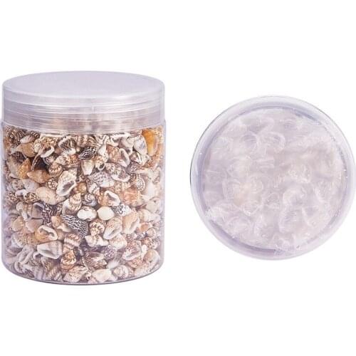 1300-1500Pcs/Box Natural Shell Conch Ornaments Accessories Parts DIY Material Jewelry Components Fish Tank Home Decoration