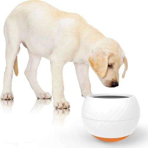 Pet Bowl Universal Slow Food Bowl Household Pet Feeder Safe And Durable Pet Supplies