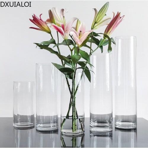DXUIALOI Nordic Straight Transparent Glass Vase Office Home Living Room Hydroponic Flower Arrangement Vase Decoration