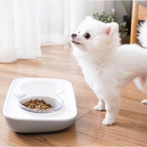 Cute 2 in1Bowl For Dog Cat Pet Bowl Pet Puppy Kitten Food Water Bowls Anti-Skip Food Drink Water Feeder With Water Dispenser