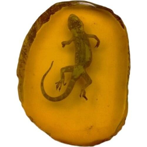 Amber scorpion pendant insect taxidermy insect with insect amber section handle piece