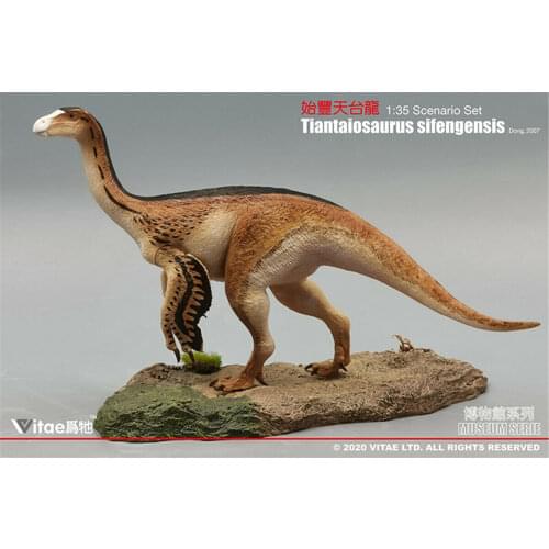 IN STOCK! Vitae 1:35 Scale Tiantaiosaurus sifengensis Dong A Figure Dinosaur Toys Animal Collector Animal Adults Gift
