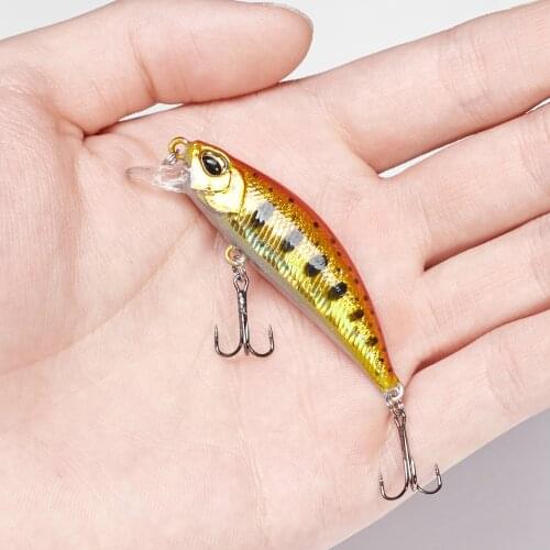 5g 55mm Wobblers Fishing Lure Minnow Pesca Fishing Lures Japan Bait Sinking Artificial Trout Carp Hard Bait Pesca Jerkbait DW63