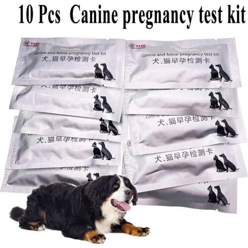 10PCS Pet Dog Cat Canine Feline Early Pregnancy Test Strip Kit Gestation Pregnant Card Clinic Home Blood Serum For Poodle Corgi