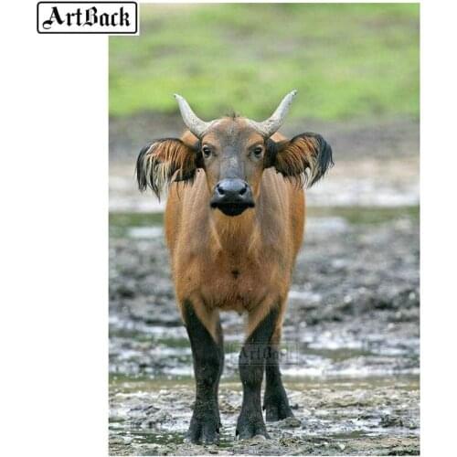 5d diamond painting cow picture full square / round animal diamond mosaic diy 3d canvas diamond embroidery crafts