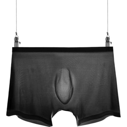 Men Mesh Sexy Boxer Briefs Thin Transparent Underwear Shorts Trunks Underpant Boxer Shorts Gay Men Panties Lingerie Intimates