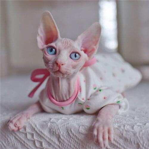 Sphynx Cat Outfits flower Cute Strawberry puff Sleeve Dresses for Cats Hairless Cat Clothes Summer Thin Sleeveless Skirt