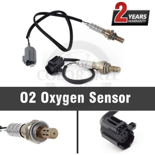 COLOR TREE Automotive Sensors