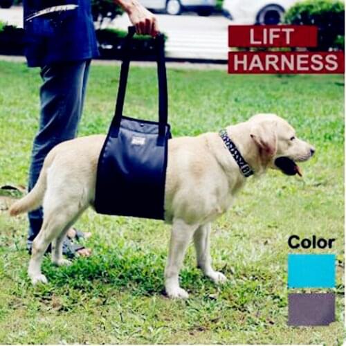 Old age dog walking aid belt dog hind limb joint protection belt injury disabled dog power assisting strap