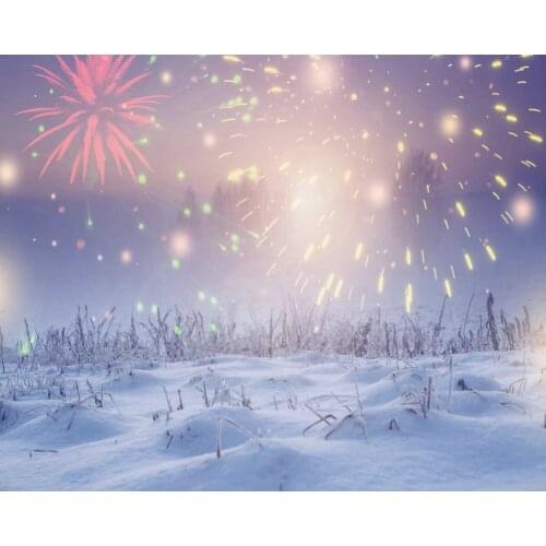 Fireworks and Snowflakes Backdrop Baby Shower Party Birthday Room Decor Photo Booth Studio Prop