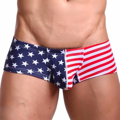 1pc Men Underwear Sexy Boxer Shorts Large Size Stars Stripes Flag Breathable Soft Panties Classic Cut Boxer cueca masculina 2020