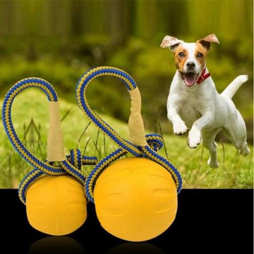 2 Sizes Pet Dog Training Toy Ball Indestructible Solid Silicone Ball Chew Play Bite Interactive Toy Supplies With Carrier Ropes