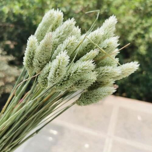 50pcs/lot,Natural Dried Gemstone grass Flower Bouquet,Real Eternal flower Arrangement for Wedding home Decoration accessories