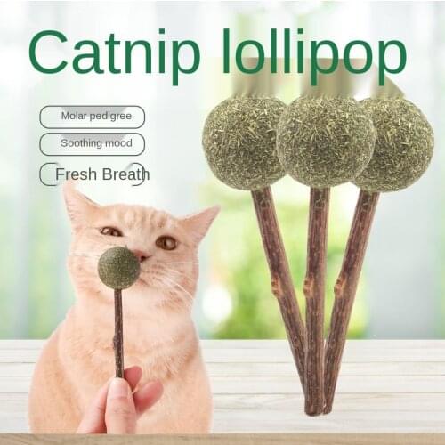 Cat Mint Lollipop Cat Catnip Toy Natural Muitan Stick Catnip Ball Toothpaste Cats Nip Clean Teeth Kitten Toy Catnip Supplies