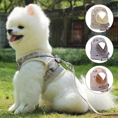 Fashion Plaid Cat Harnesses for Cats Summer Mesh Pet Harness and Leash Set Katten Kitty Mascotas Products for Puppy Accessories