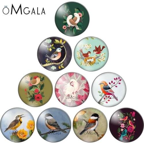 12mm/14mm/16mm/18mm/20mm/25mm Art Painting Animal Parrot Bird Round Photo Glass Cabochon Demo Flat Back Making Findings