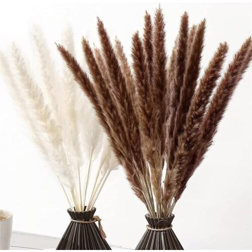 15Pcs Dried Flowers Natural Pampas Grass Decoration Reed Flowers Bouquet For Table Flores Room Home Decor Wedding Decoration