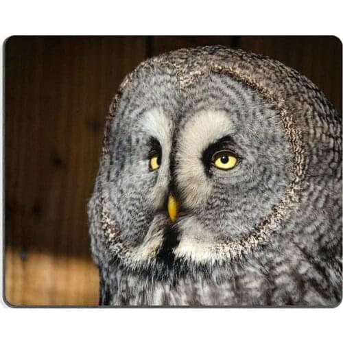 Mouse pad gaming mouse pad Orange jellyfish Natural Rubber Material PN00X13474