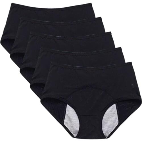5 Pcs Menstrual Panties Women Absorbtent Leak Proof Period Briefs Lingerie Ladies Sexy Mesh Breathable Physiological Underwear