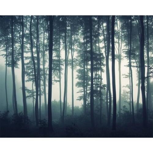 Beibehang Custom wallpaper fresh and simple beautiful forest trees fog mural TV background wall home decoration 3d wallpaper