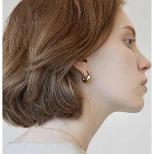 2020 High-Grade Geometric Metal Earring Joker Female Niche Style Super Cool Trend Earrings