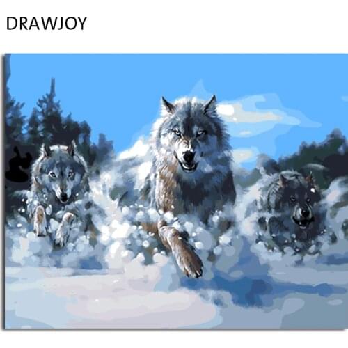 DRAWJOY Paint By Number 40 50