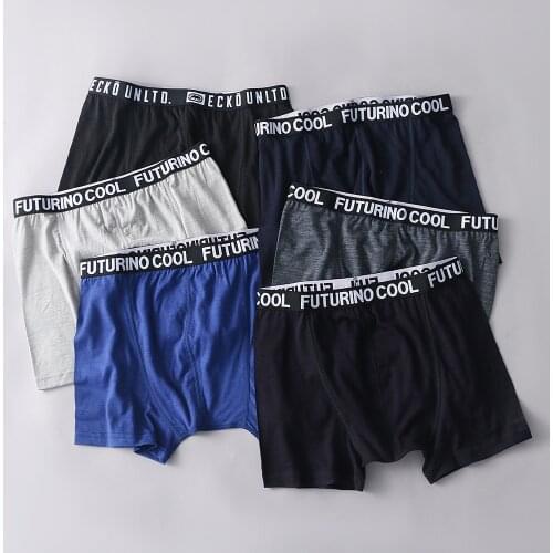 100% Merino Wool Men Underwear Man Boxer briefs Underpants Underwear Quick drying Breathable Soft