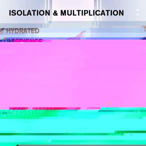 Face Pores Hydrating Makeup Base Face Primer Gel Invisible Looks Make Oil-Free Light Up Last Cosmetic Pore Long Matt B0B3