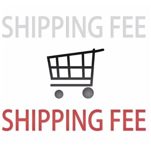 Extra Shipping Fee for Resend Order or Balance Additional Fee