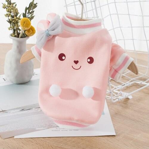Pet Clothes Spring and Autumn Light Fleece Warm Two-Legged Sweater Small Dog Cute Cartoon Rabbit Ears Dog Cat Clothing