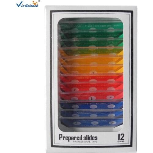 Hot Sale 12pcs Mixed Plastic Microscope Biology Prepared Slides Educational Toy Kids Gifts